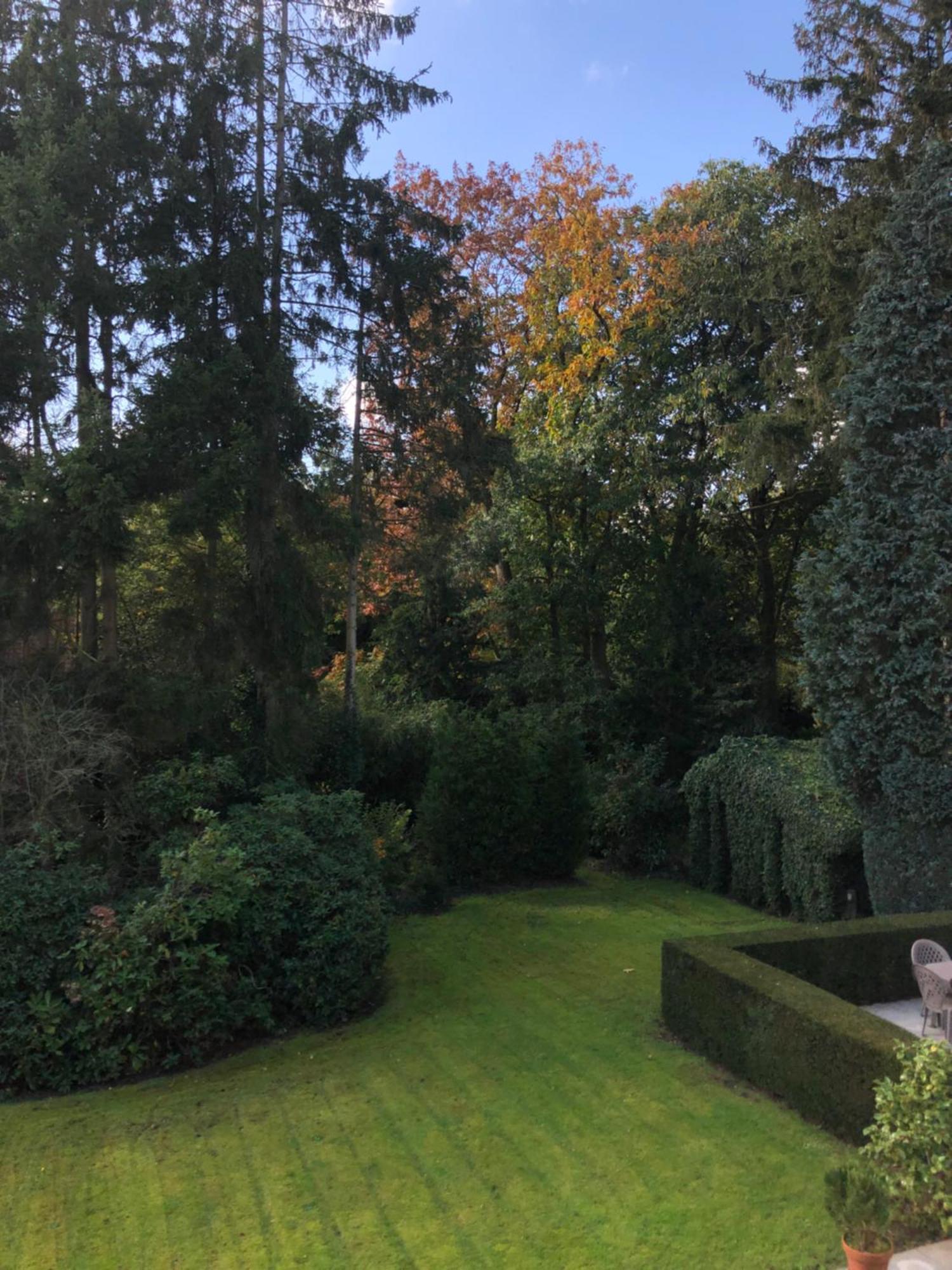 B&B Lobelia-Brugge Exterior photo